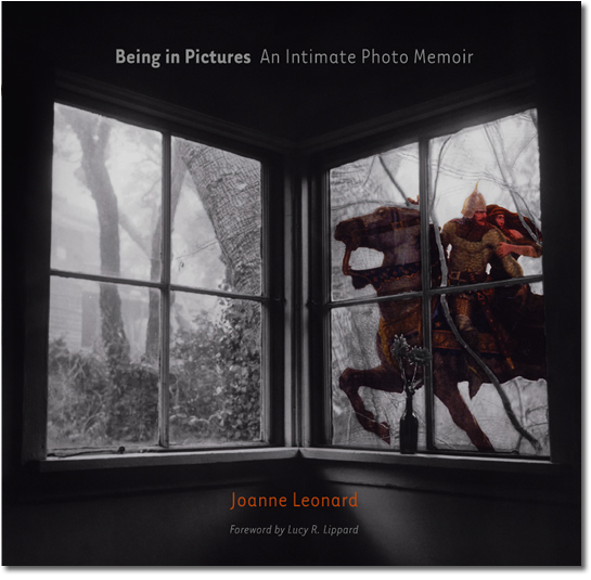 Being in Pictures Book Cover